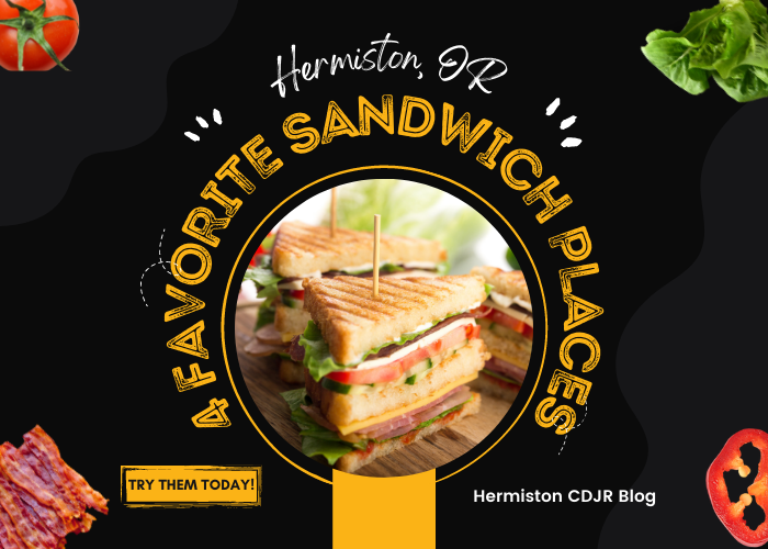 sandwich graphic